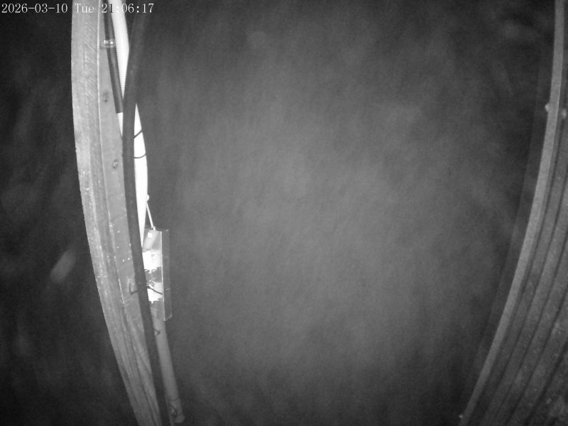 Webcam Mount Olympus: Access