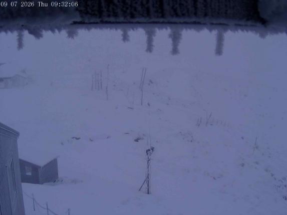 Webcam Mount Olympus: Accessgate