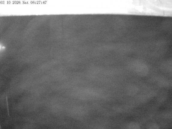 Webcam Mount Olympus: Accessgate