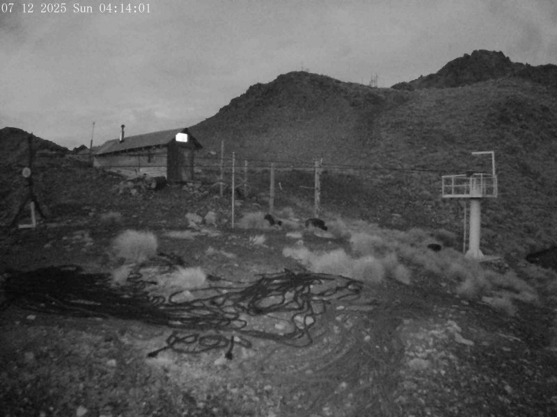 Webcam Mount Olympus: Main Tow Top