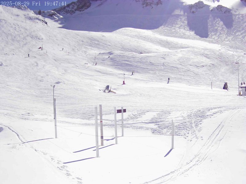 Webcam Mount Olympus: Snowstake