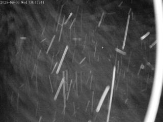 Mount Olympus: Snowstake (mtolympus.co.nz)
