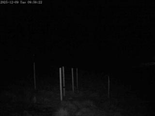 Mount Olympus webcam