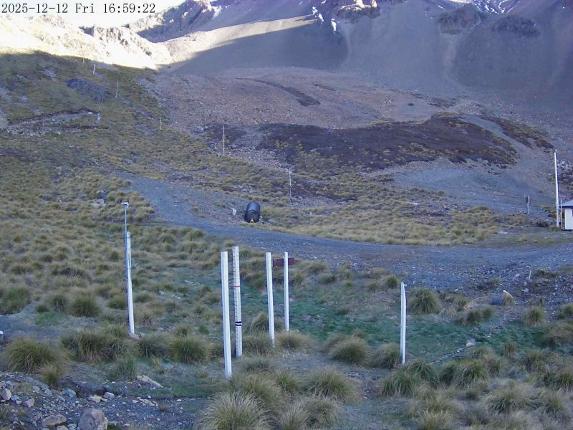 Webcam Mount Olympus: Snowstake