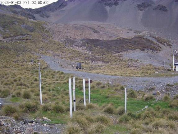 Webcam Mount Olympus: Snowstake