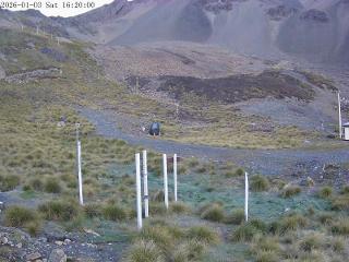Mount Olympus: Snowstake (mtolympus.co.nz)