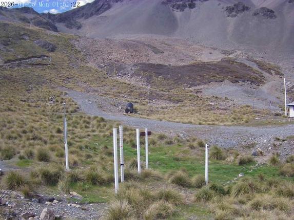 Webcam Mount Olympus: Snowstake