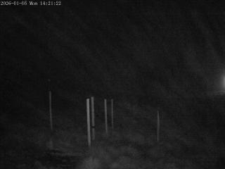 Mount Olympus: Snowstake (mtolympus.co.nz)