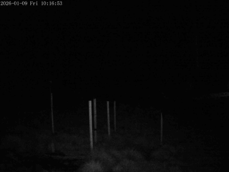 Webcam Mount Olympus: Snowstake