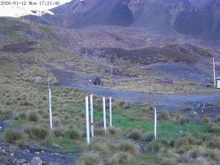 Mount Olympus: Snowstake (mtolympus.co.nz)