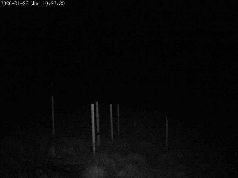 Webcam Mount Olympus: Snowstake