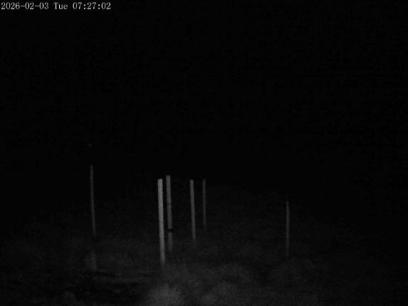 Webcam Mount Olympus: Snowstake