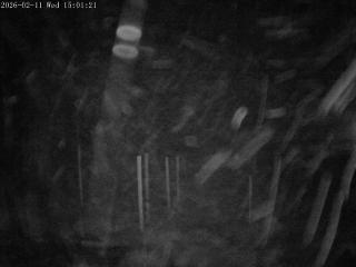 Mount Olympus: Snowstake (mtolympus.co.nz)