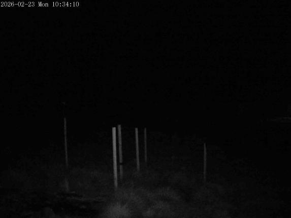 Webcam Mount Olympus: Snowstake