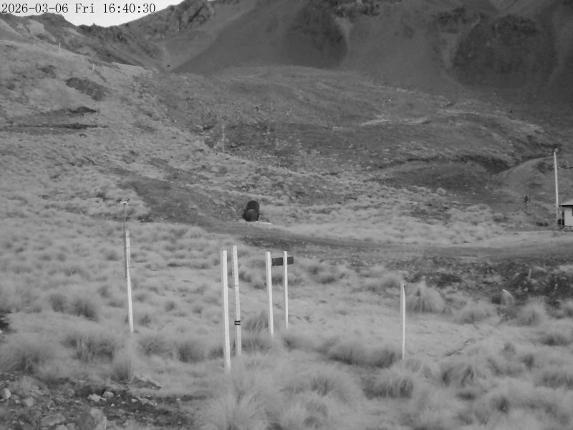 Webcam Mount Olympus: Snowstake