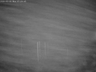 Mount Olympus: Snowstake (mtolympus.co.nz)