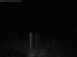 Mount Olympus: Snowstake (mtolympus.co.nz)