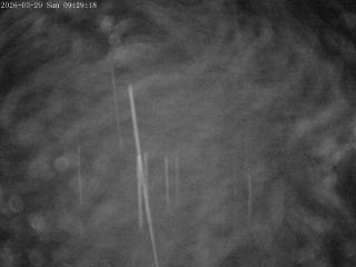 Mount Olympus: Snowstake (mtolympus.co.nz)