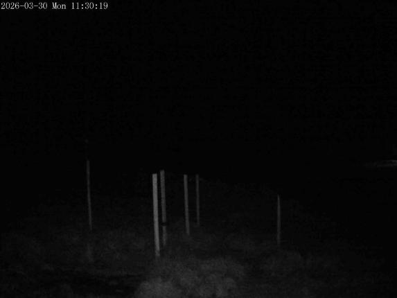 Webcam Mount Olympus: Snowstake