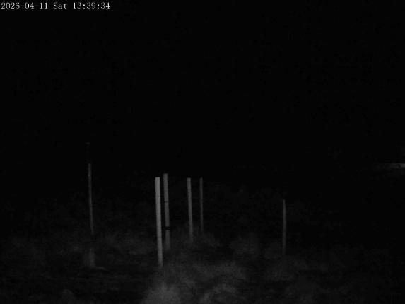 Webcam Mount Olympus: Snowstake