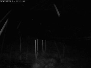 Mount Olympus: Snowstake (mtolympus.co.nz)