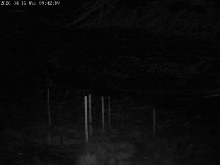 Mount Olympus: Snowstake (mtolympus.co.nz)