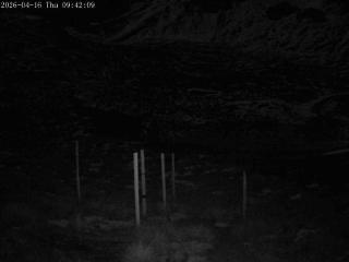 Mount Olympus: Snowstake (mtolympus.co.nz)