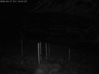 Mount Olympus: Snowstake (mtolympus.co.nz)