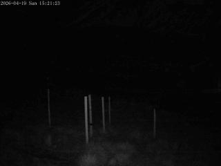 Mount Olympus: Snowstake (mtolympus.co.nz)