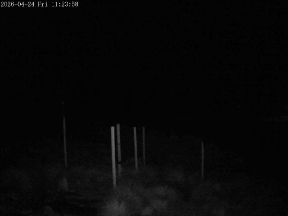 Webcam Mount Olympus: Snowstake