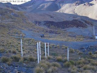 Mount Olympus: Snowstake (mtolympus.co.nz)