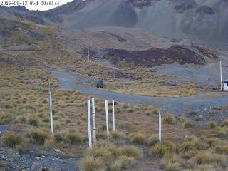 Mount Olympus: Snowstake (mtolympus.co.nz)