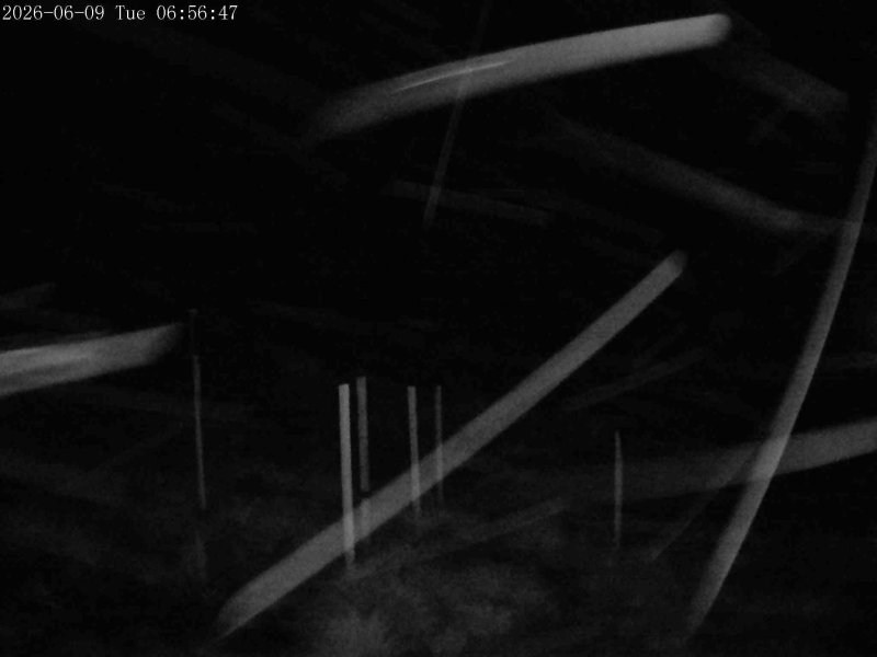 Webcam Mount Olympus: Snowstake