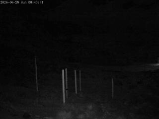 Mount Olympus: Snowstake (mtolympus.co.nz)
