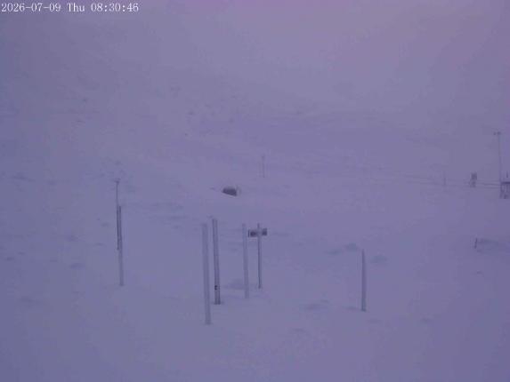 Webcam Mount Olympus: Snowstake