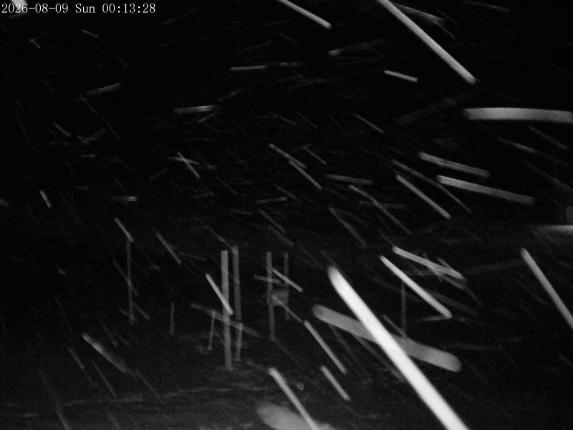 Webcam Mount Olympus: Snowstake