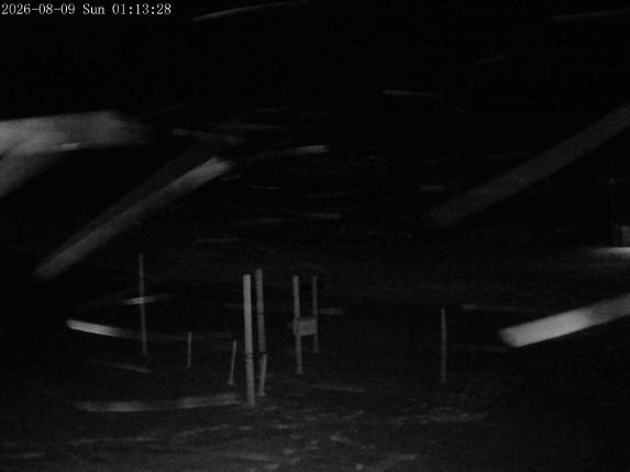 Webcam Mount Olympus: Snowstake