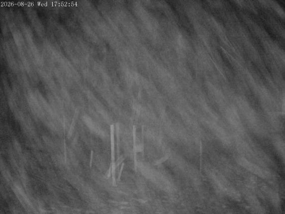 Webcam Mount Olympus: Snowstake