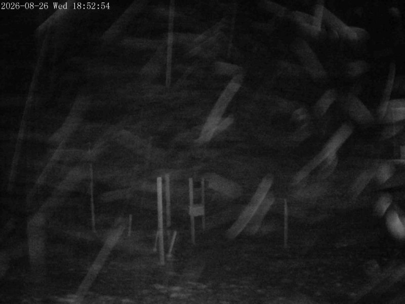 Webcam Mount Olympus: Snowstake