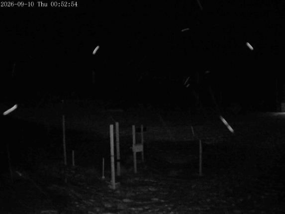Webcam Mount Olympus: Snowstake