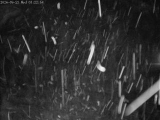 Mount Olympus webcam