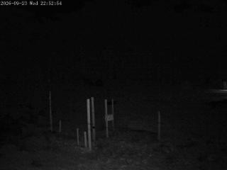 Mount Olympus: Snowstake (mtolympus.co.nz)