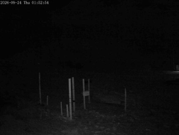 Webcam Mount Olympus: Snowstake