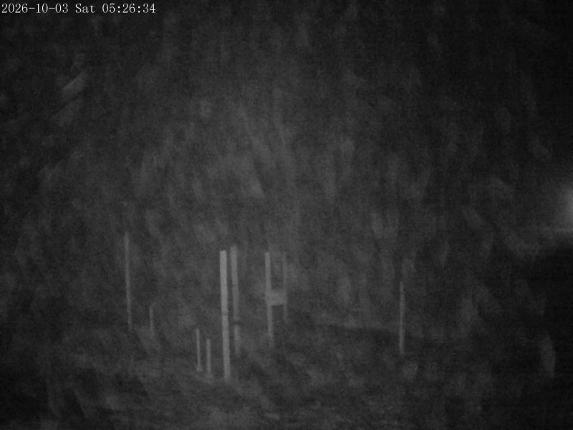 Webcam Mount Olympus: Snowstake