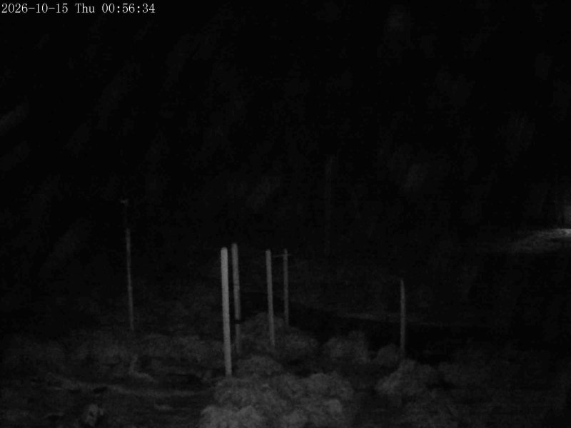 Webcam Mount Olympus: Snowstake