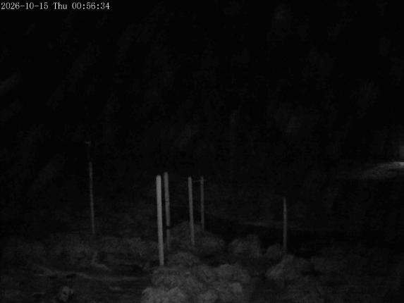 Webcam Mount Olympus: Snowstake