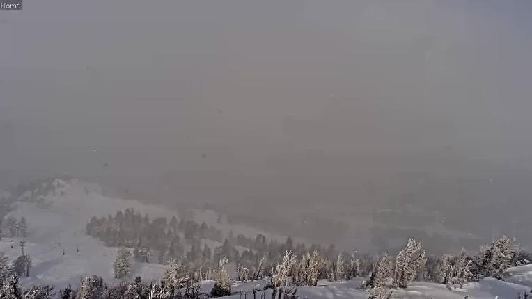 Webcam Mount Rose: North View