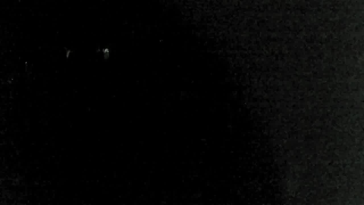 Webcam Mount Rose: North View