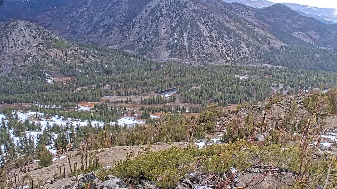 Webcam Mount Rose: North View