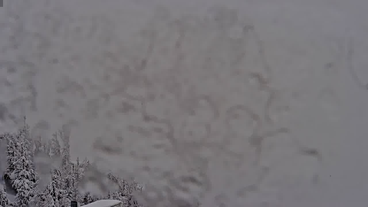 Webcam Mount Rose: North View